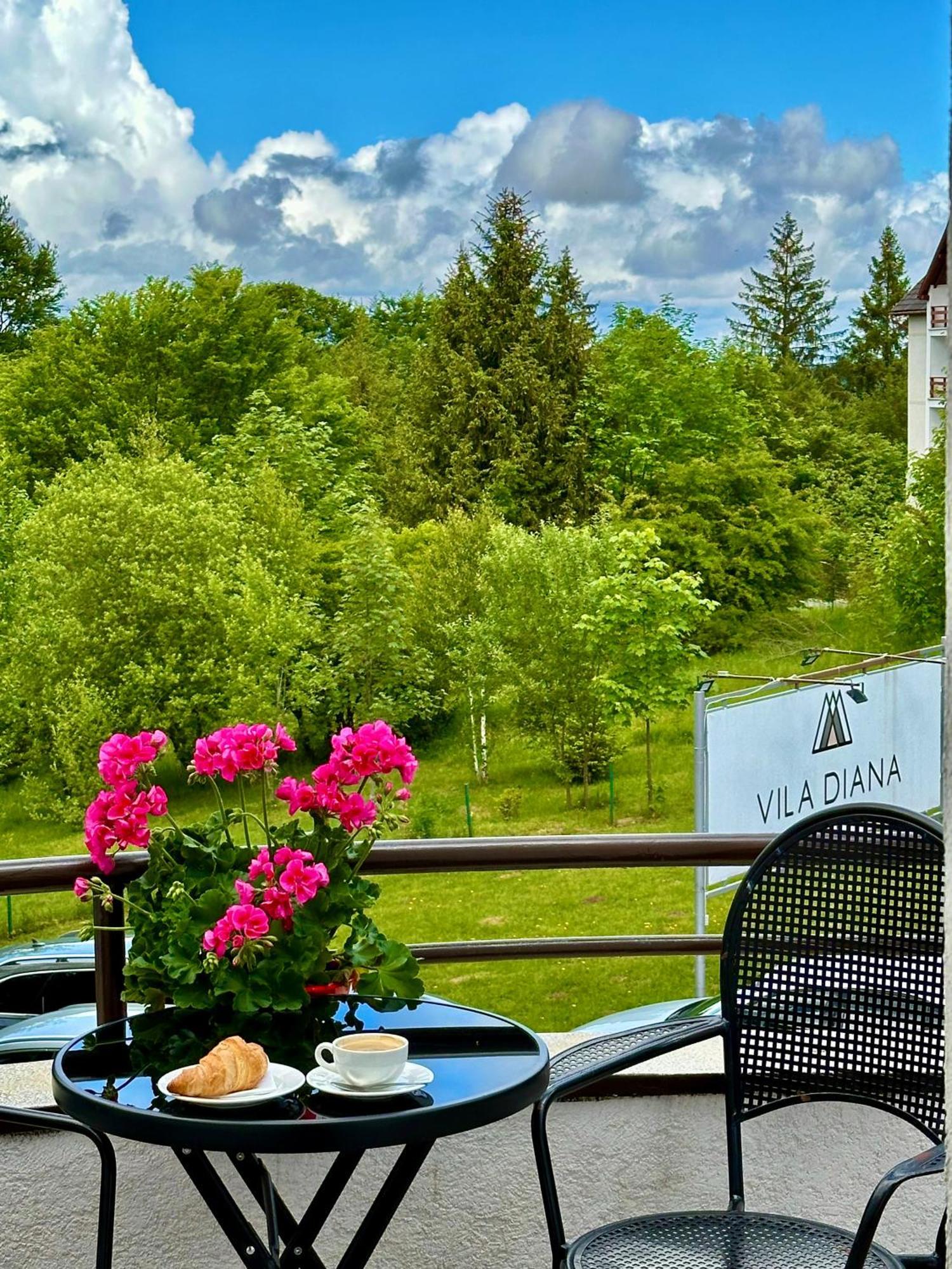 Vila Diana - Poiana Brašov Exteriér fotografie